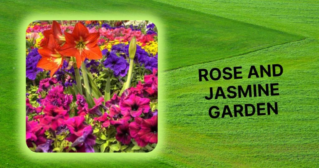 Rose and Jasmine Garden