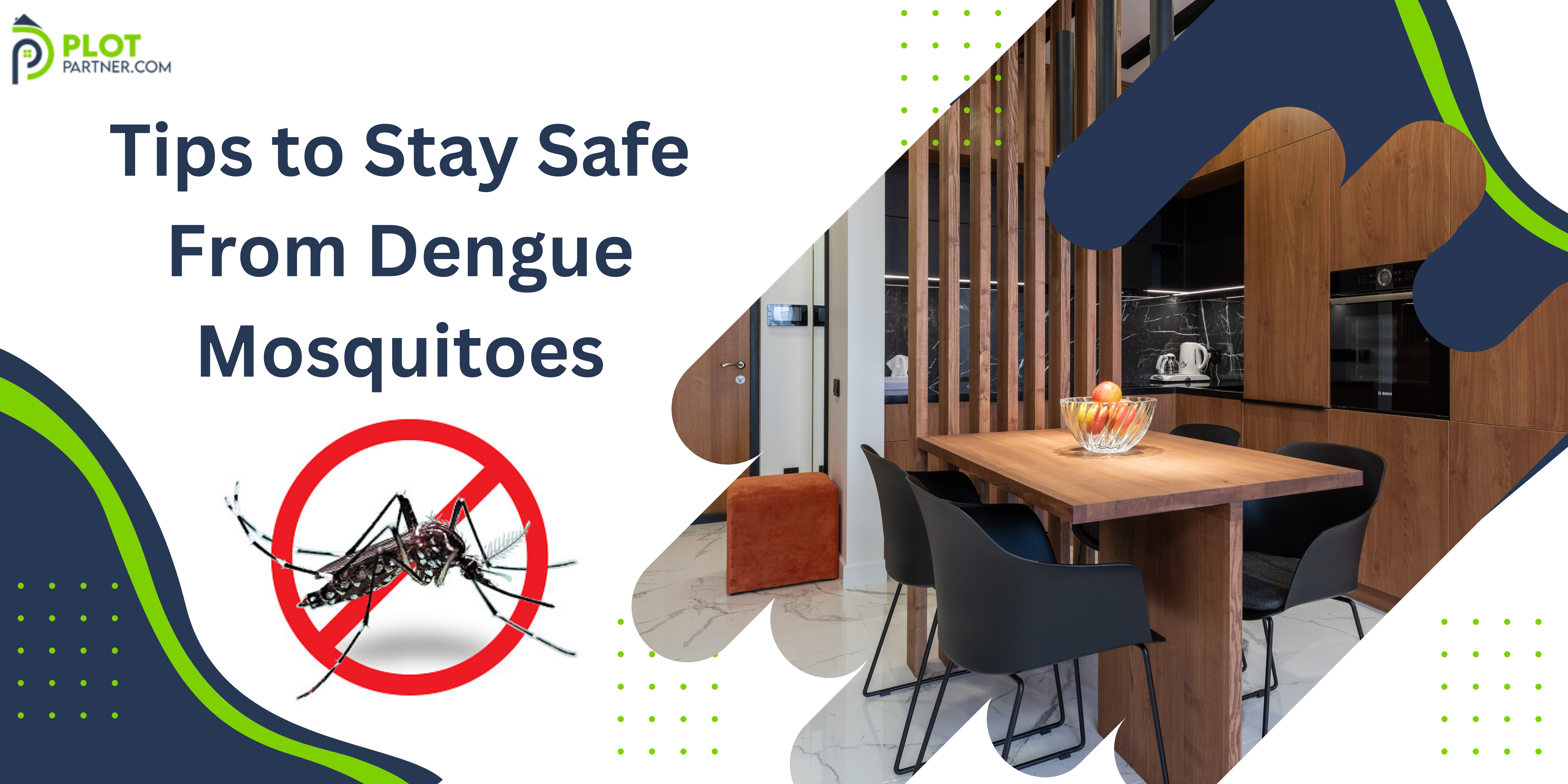 16 Tips to Stay Safe From Dengue Mosquitoes | Plot-Partner
