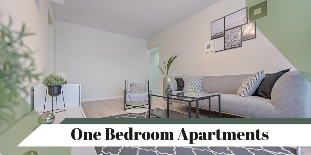 6 Most Important Types of apartments and their value that you need to know