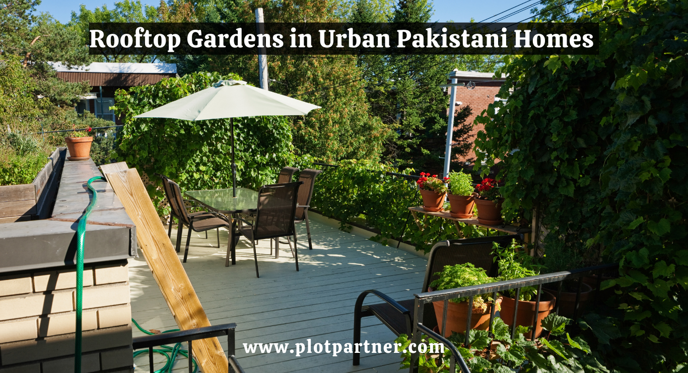 Rooftop Gardens in Urban Pakistani Homes | Green Revolution